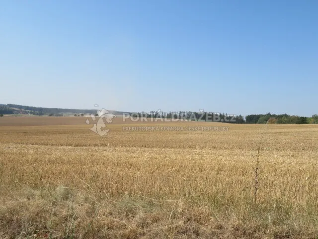 Soubor pozemků v obci Zdislavice, k.ú. Zdislavice u Vlašimi, okr. Benešov