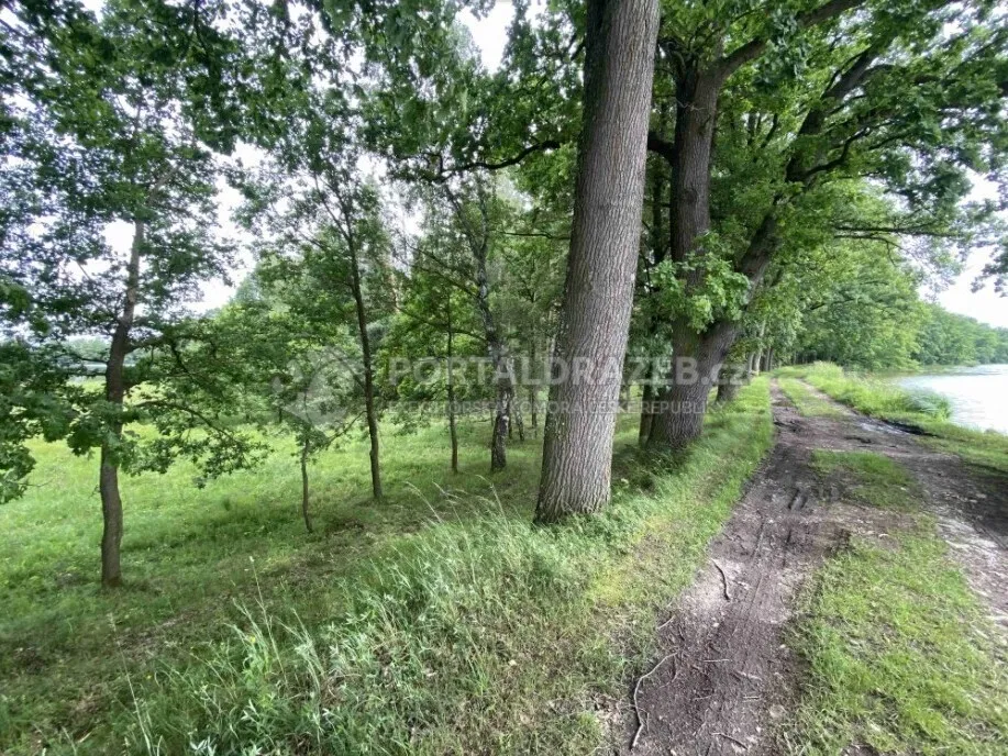Pozemek o velikosti 1639m2, Mladějovice