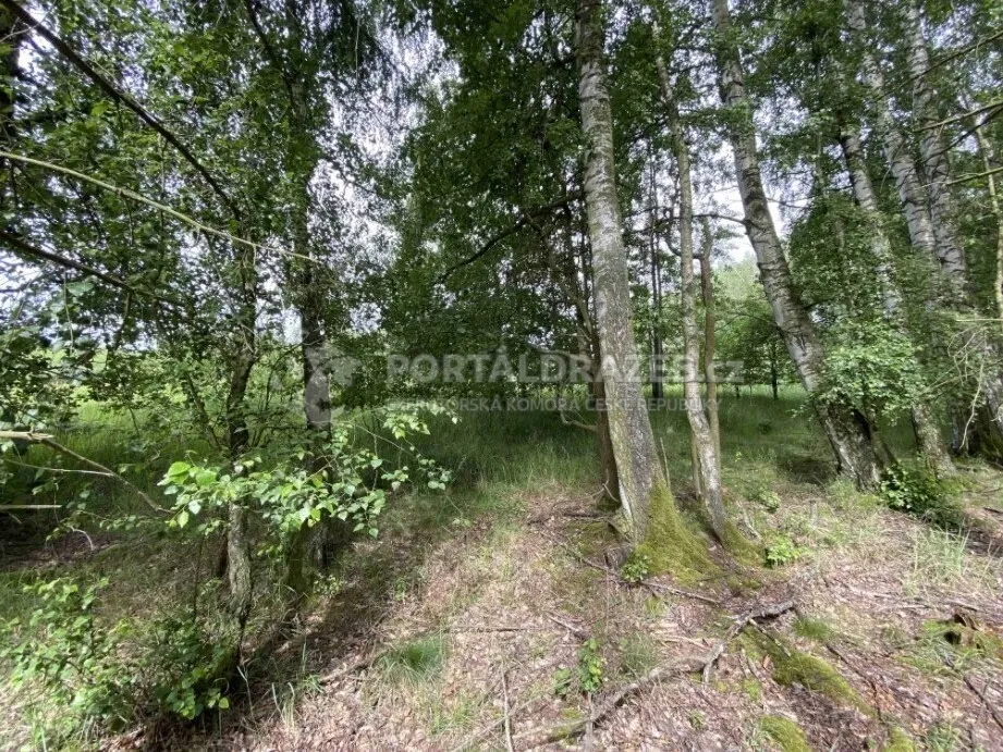 Pozemek o velikosti 1639m2, Mladějovice