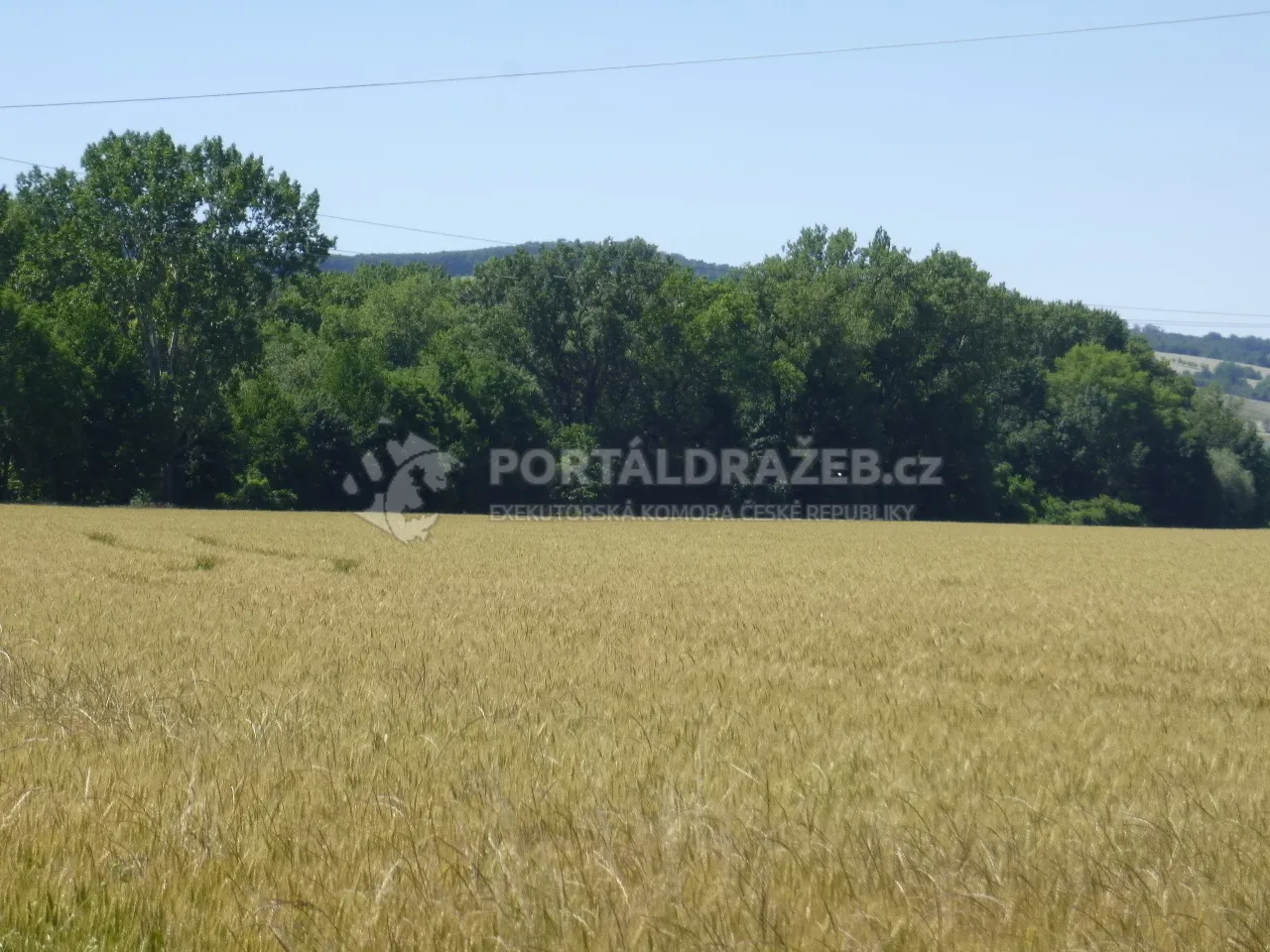 Podíl na pozemcích v k.ú. Hroznová Lhota