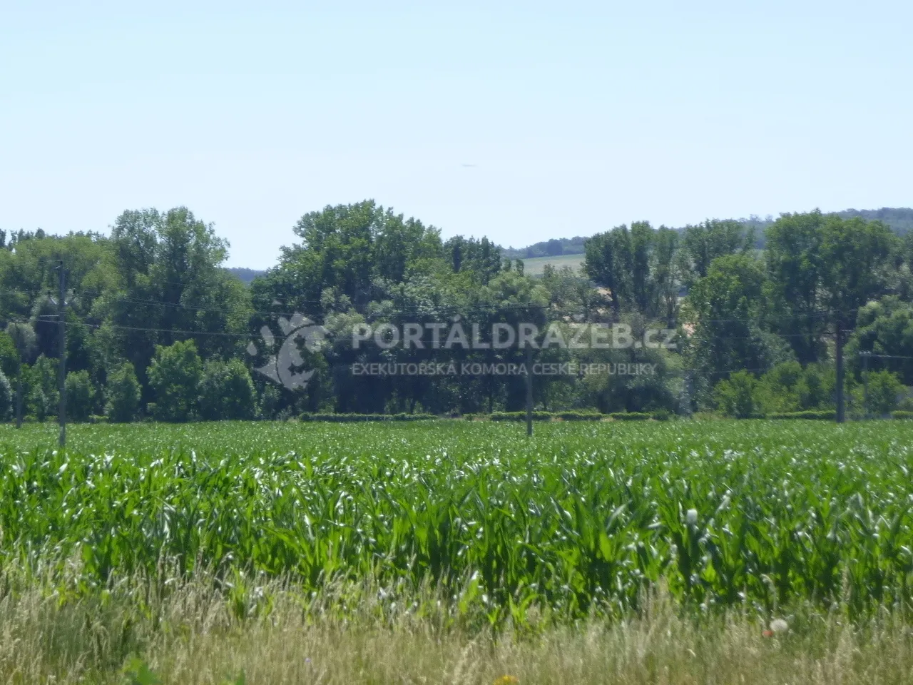Podíl na pozemcích v k.ú. Hroznová Lhota