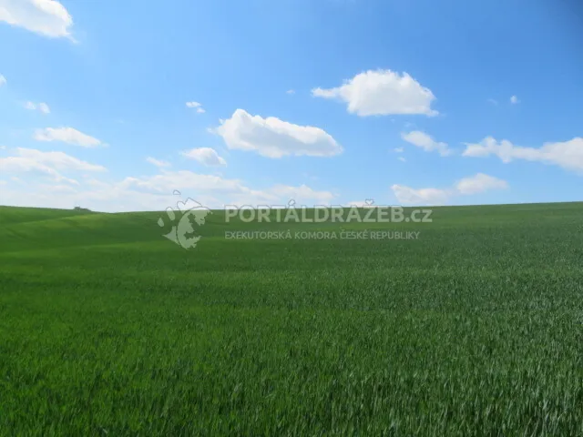 Dražba spoluvlastnického podílu id. 1/3, zemědělský pozemek, Čejkovice