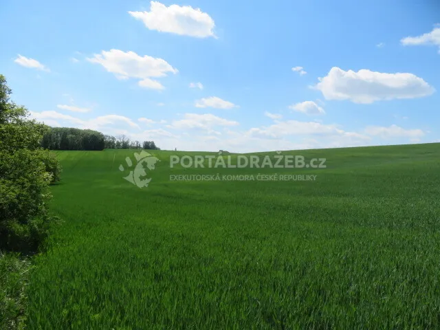 Dražba spoluvlastnického podílu id. 1/3, zemědělský pozemek, Čejkovice