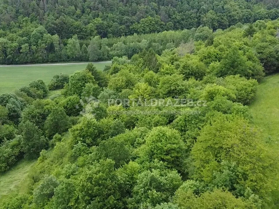 Pozemek o velikosti 6028m2, Skorotice