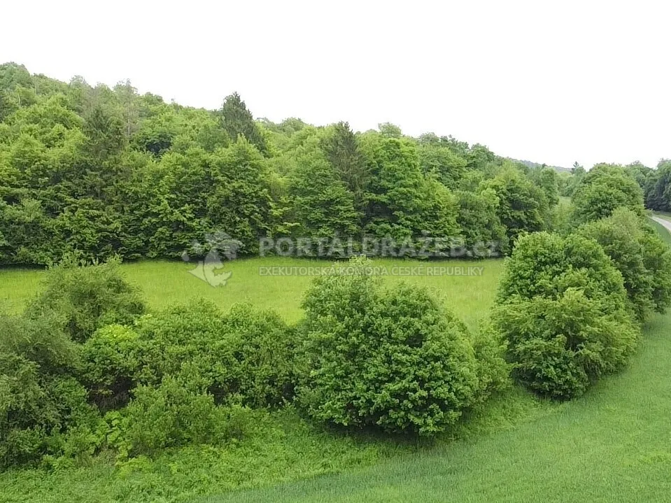 Pozemek o velikosti 6028m2, Skorotice