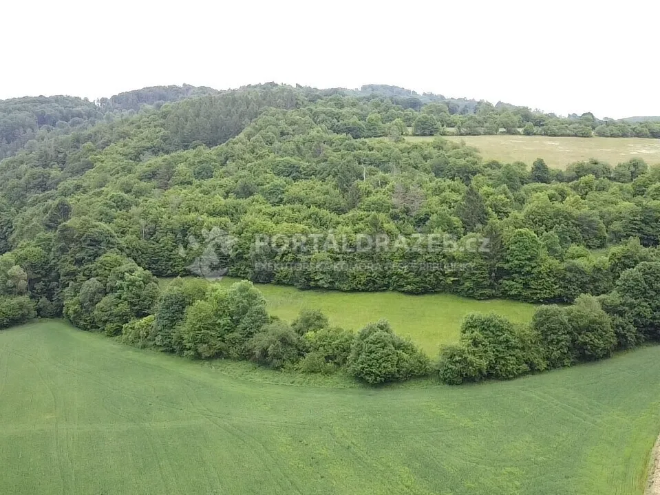 Pozemek o velikosti 6028m2, Skorotice