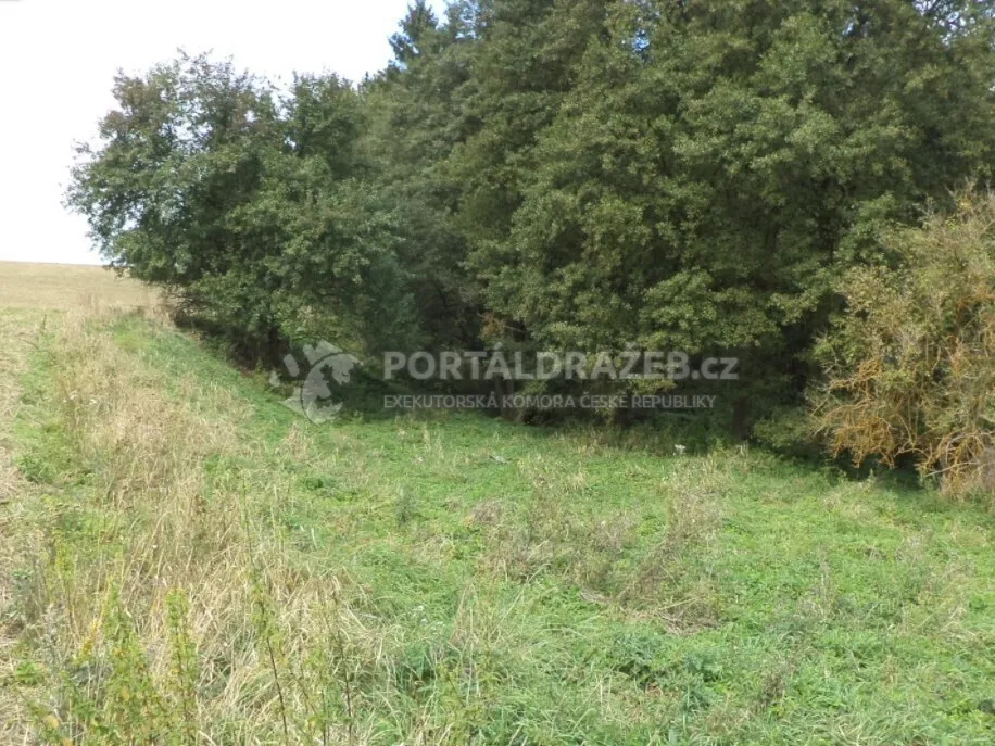 Pozemek o velikosti 58887m2, Tachov4