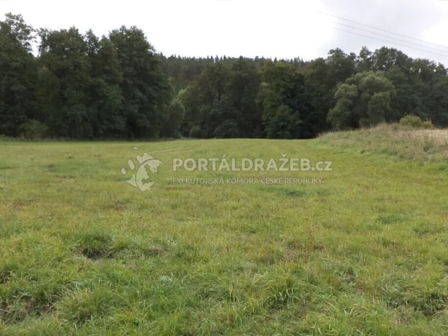 Pozemek o velikosti 58887m2, Tachov4