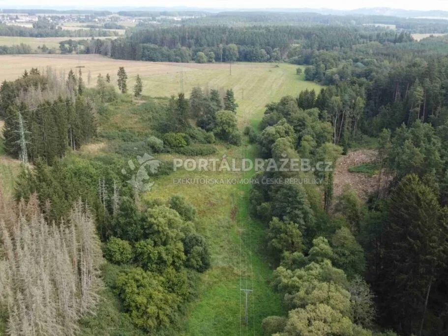 Pozemek o velikosti 58887m2, Tachov4