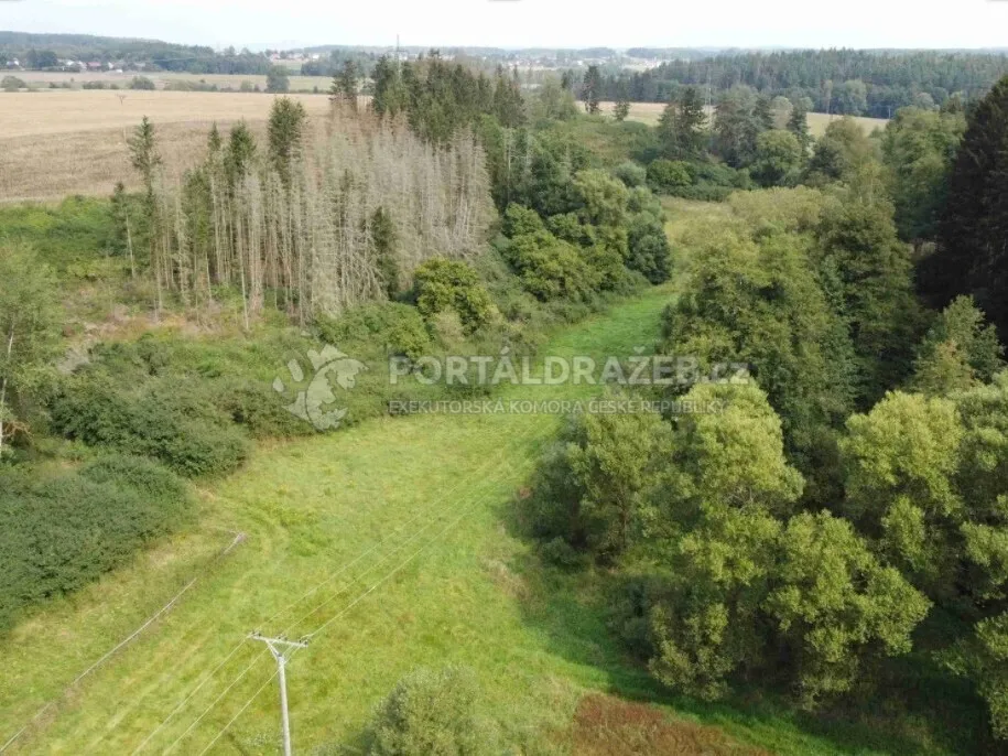 Pozemek o velikosti 58887m2, Tachov4