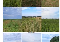 Žemės sklypas, 590 a. (5,9 ha.) Širvintų r. sav. Plikiškių k.