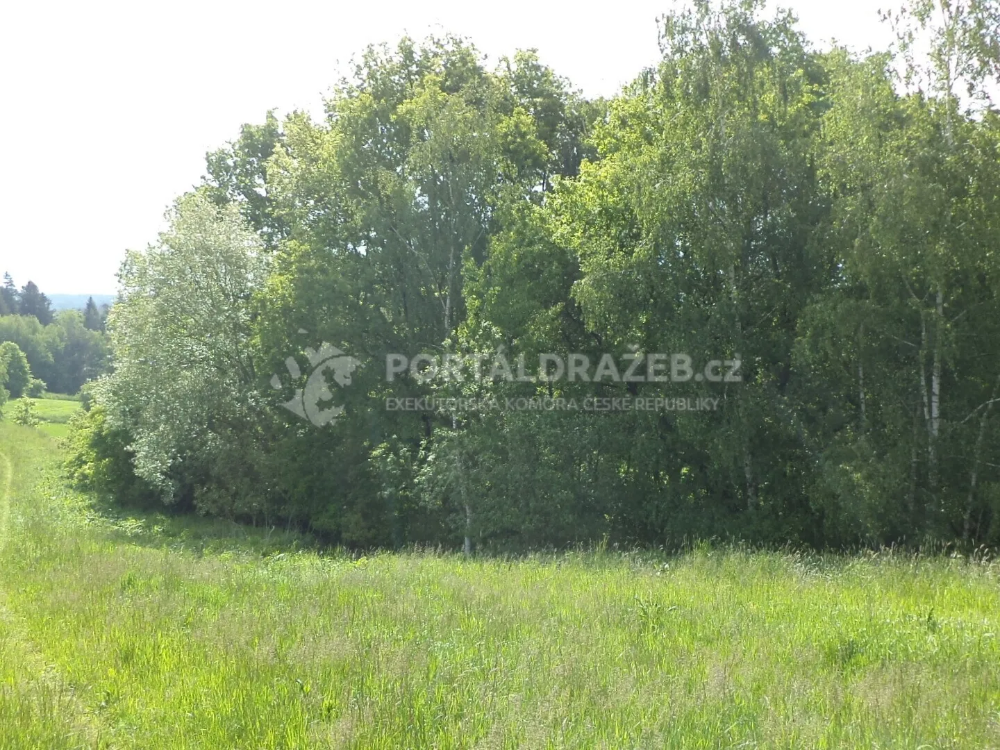Pozemek o velikosti 1175m2, Jižná