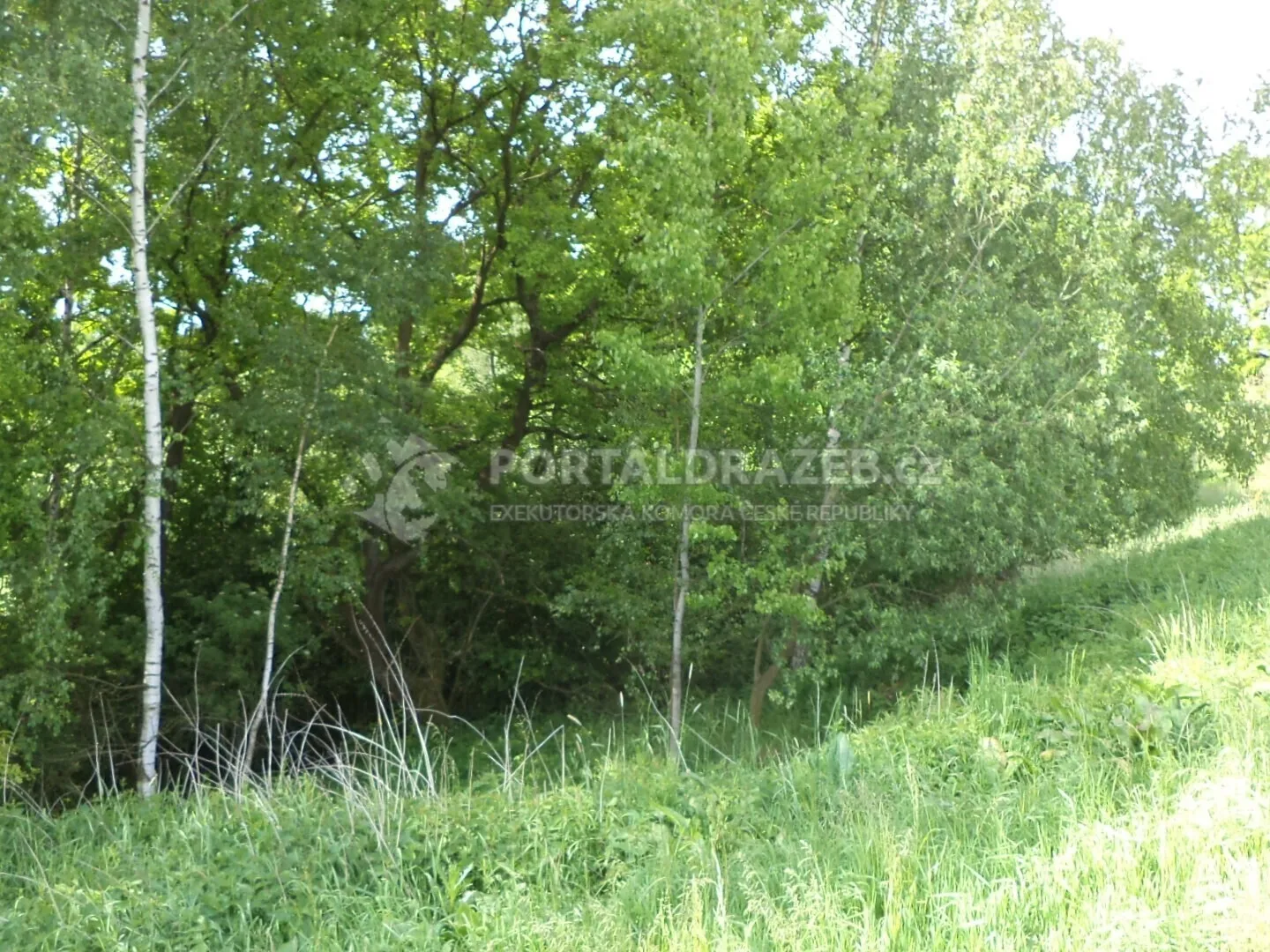 Pozemek o velikosti 1175m2, Jižná