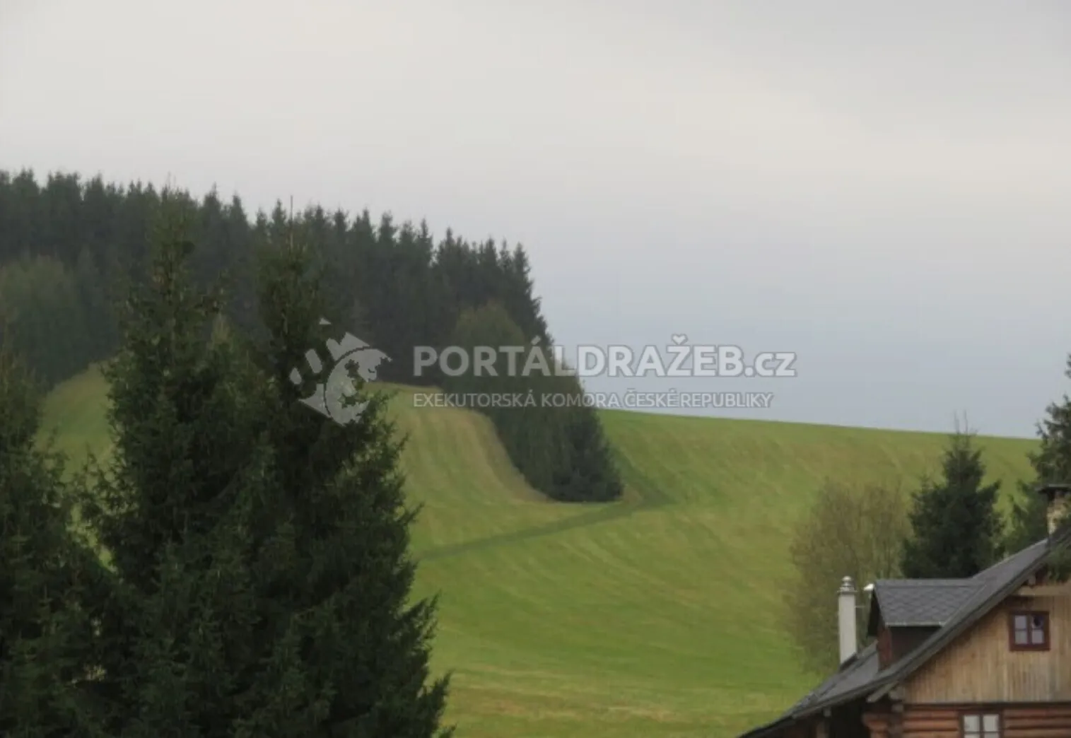 Pozemky o výměře 6 461 m2 v obci České Petrovice, okres Ústí nad Orlicí