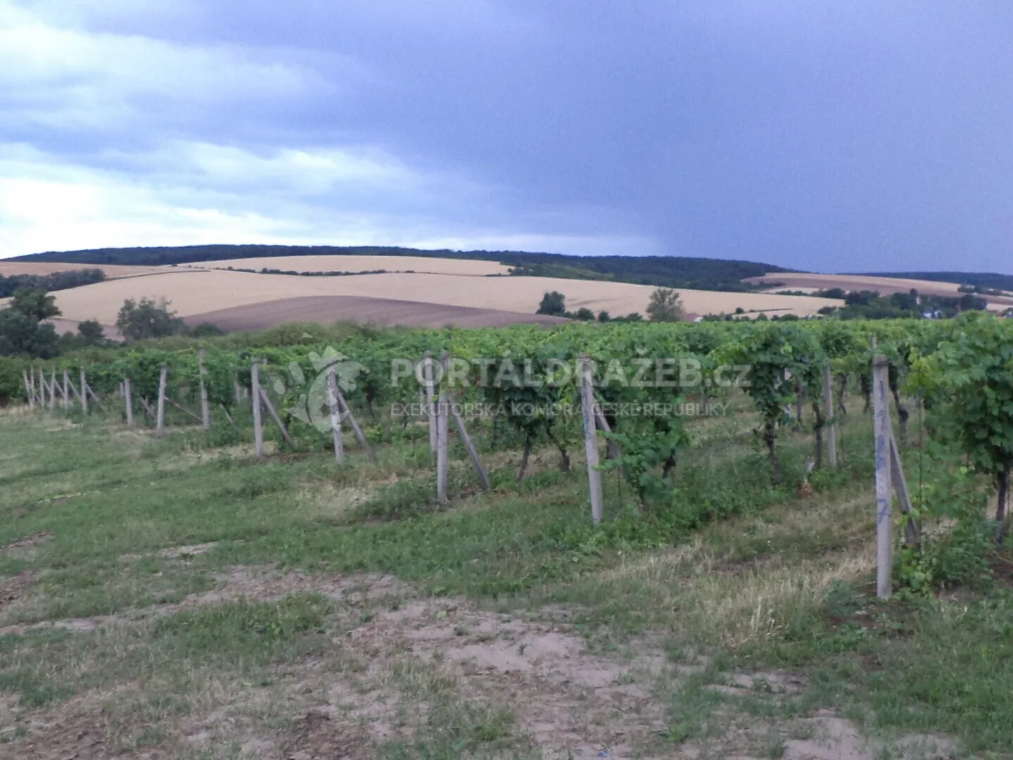 Pozemek o velikosti 4541m2, Morkůvky