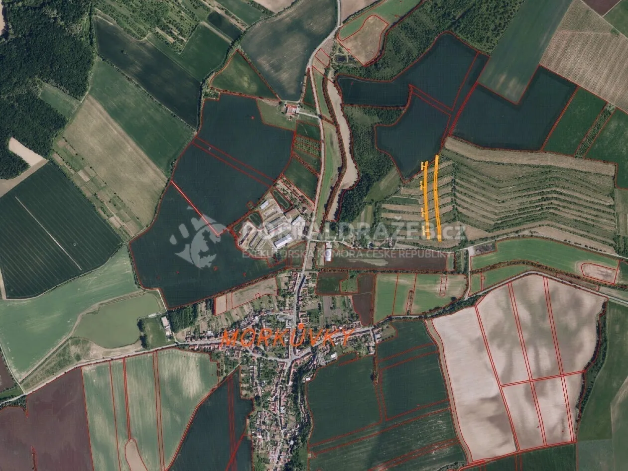 Pozemek o velikosti 4541m2, Morkůvky