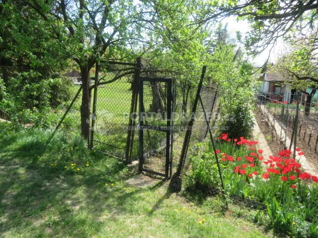 Spoluvlastnický podíl 1/8 na pozemcích v k.ú. Slatina, Brno-město