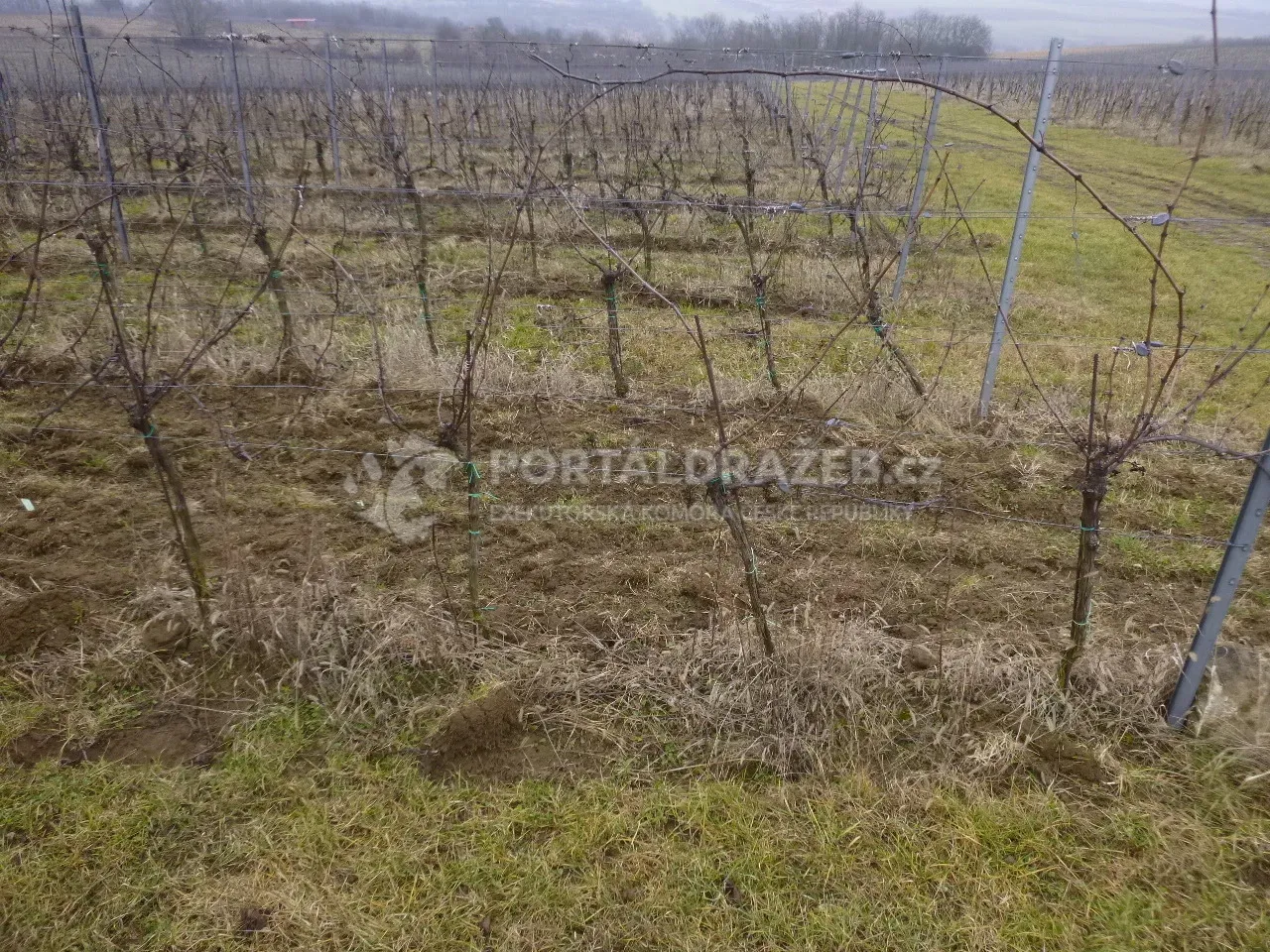 Podíl na pozemcích v k.ú. Žeravice u Kyjova a k.ú. Syrovín, okr. Hodonín