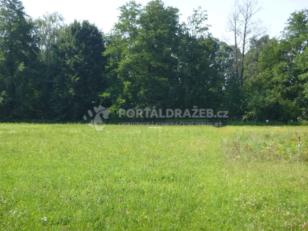 Podíl 1/3 na pozemcích v k.ú. Třebechovice pod Orebem