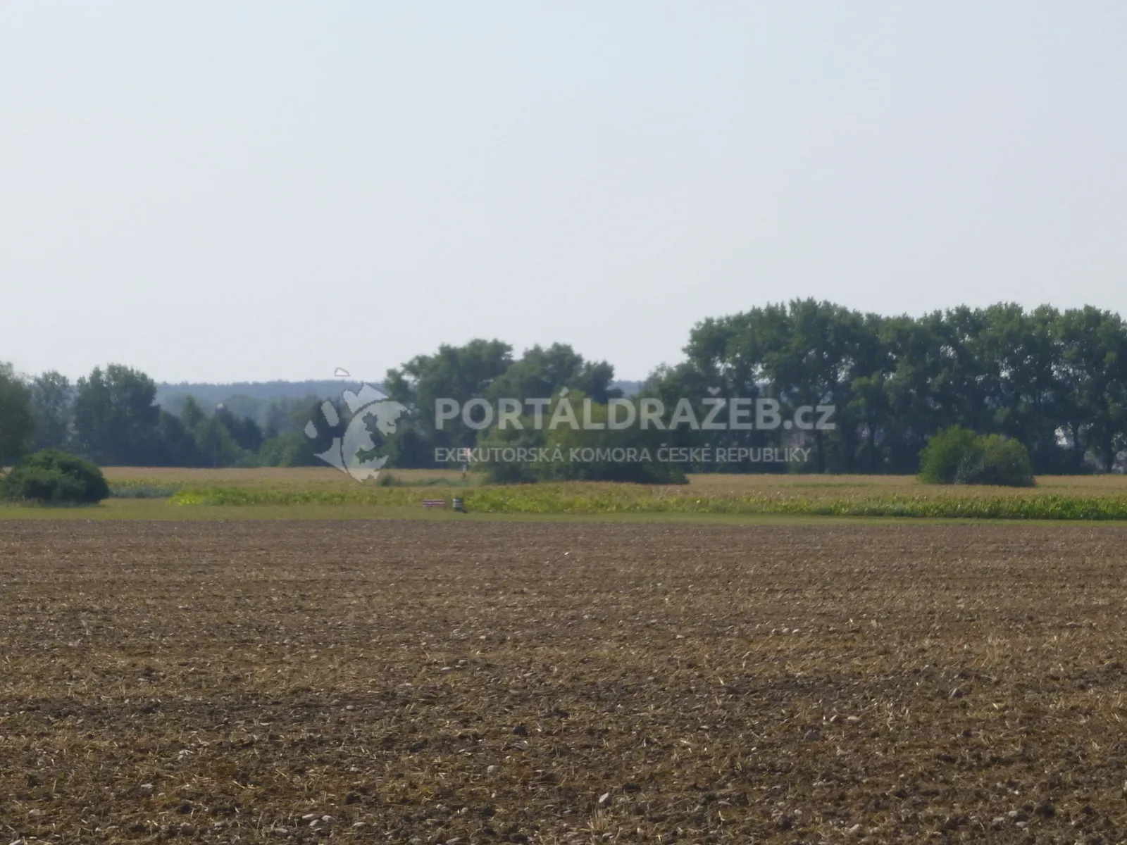 Podíl 1/3 na pozemcích v k.ú. Třebechovice pod Orebem