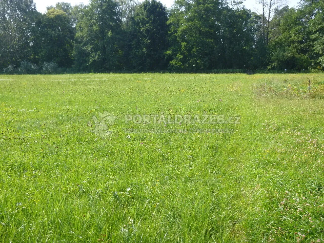 Podíl 1/3 na pozemcích v k.ú. Třebechovice pod Orebem