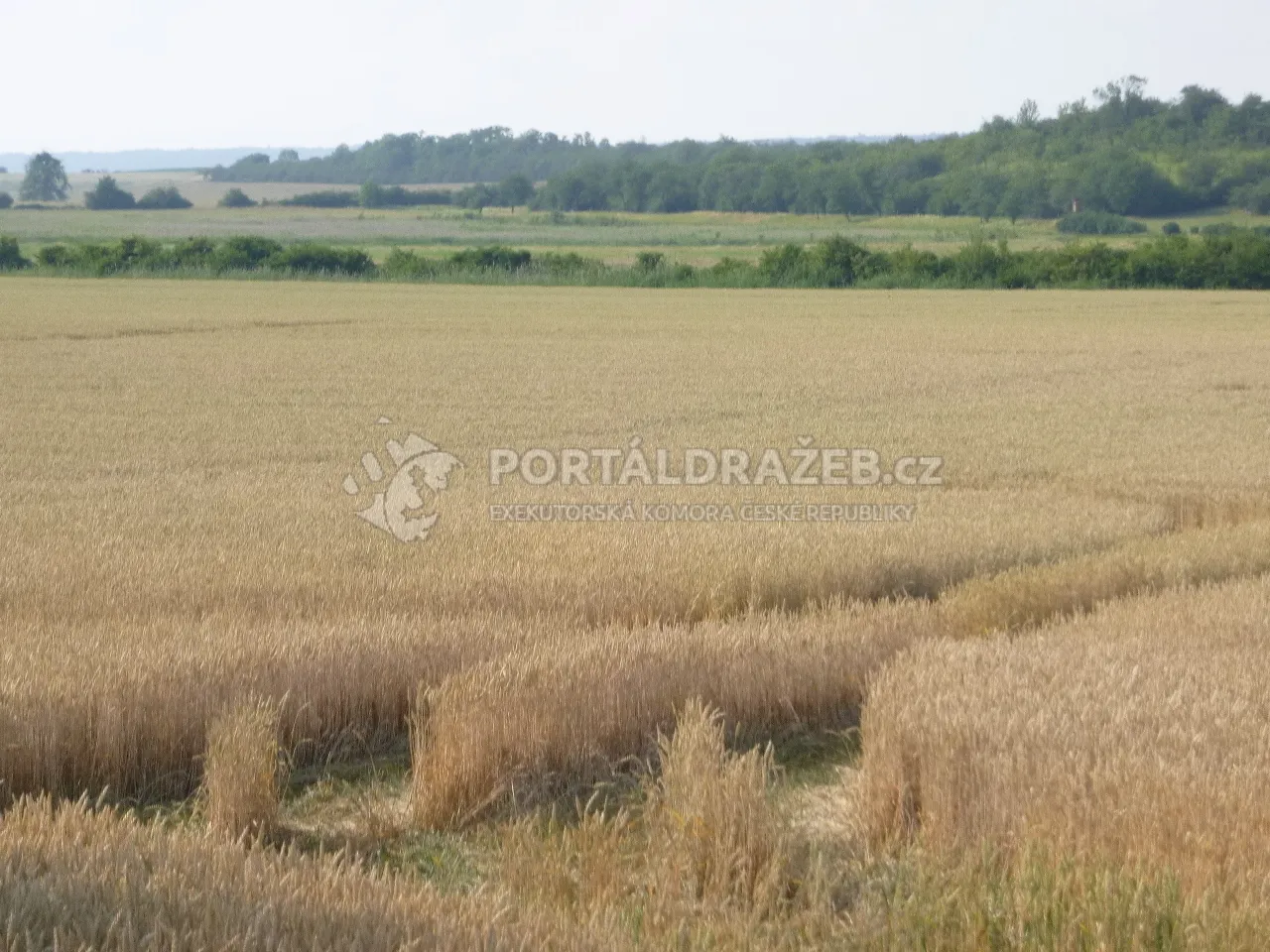 Podíl na pozemcích v k.ú. Zbyslav, okr. Kutná Hora