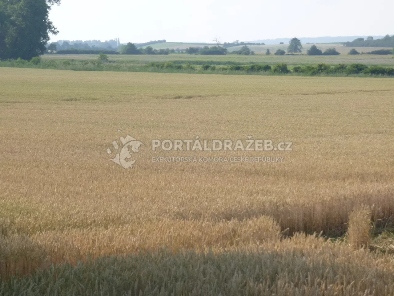 Podíl na pozemcích v k.ú. Zbyslav, okr. Kutná Hora