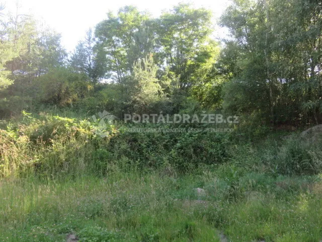 Dražba spoluvlastnického podílu ve výši 1/9 na pozemcích v obci Nové Strašecí, okr. Rakovník