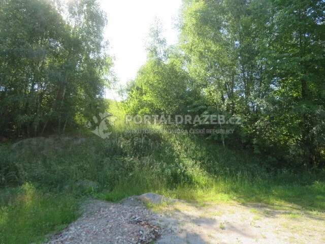 Dražba spoluvlastnického podílu ve výši 1/9 na pozemcích v obci Nové Strašecí, okr. Rakovník