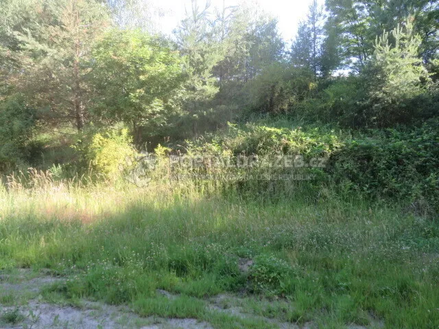 Dražba spoluvlastnického podílu ve výši 1/9 na pozemcích v obci Nové Strašecí, okr. Rakovník