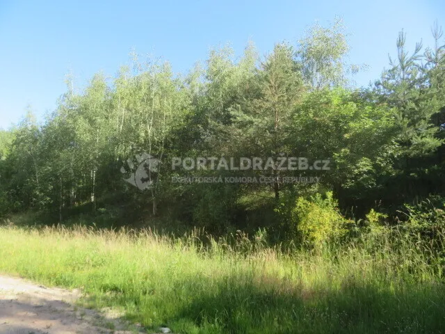 Dražba spoluvlastnického podílu ve výši 1/9 na pozemcích v obci Nové Strašecí, okr. Rakovník