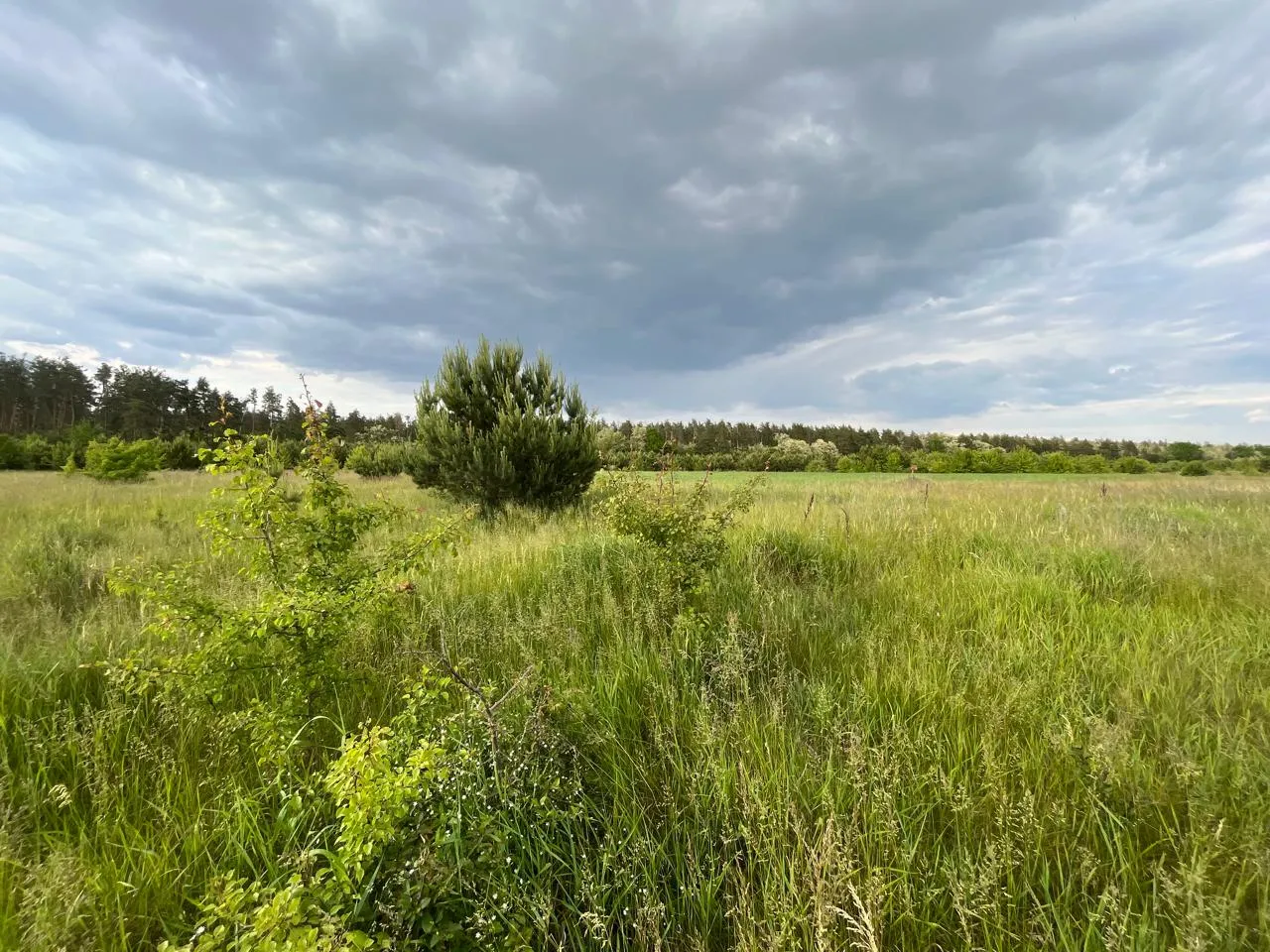 Продаж земельної ділянки, кадастровий № 3224981600:02:008:0215, площею 0,1200 га, цільове призначення: для індивідуального садівництва, що знаходиться за адресою: Київська область, Фастівський район, Веприцька сільська рада, масив-землі дер