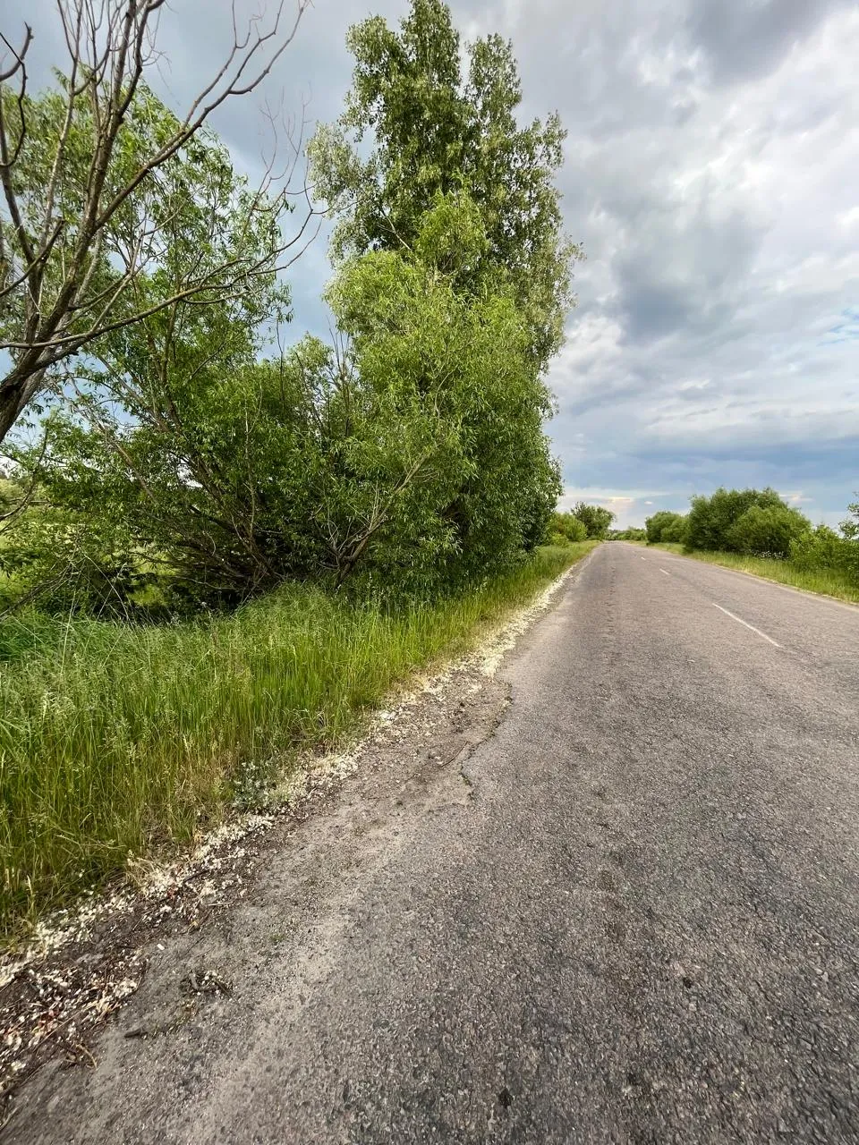 Продаж земельної ділянки, кадастровий № 3224981600:02:008:0215, площею 0,1200 га, цільове призначення: для індивідуального садівництва, що знаходиться за адресою: Київська область, Фастівський район, Веприцька сільська рада, масив-землі дер