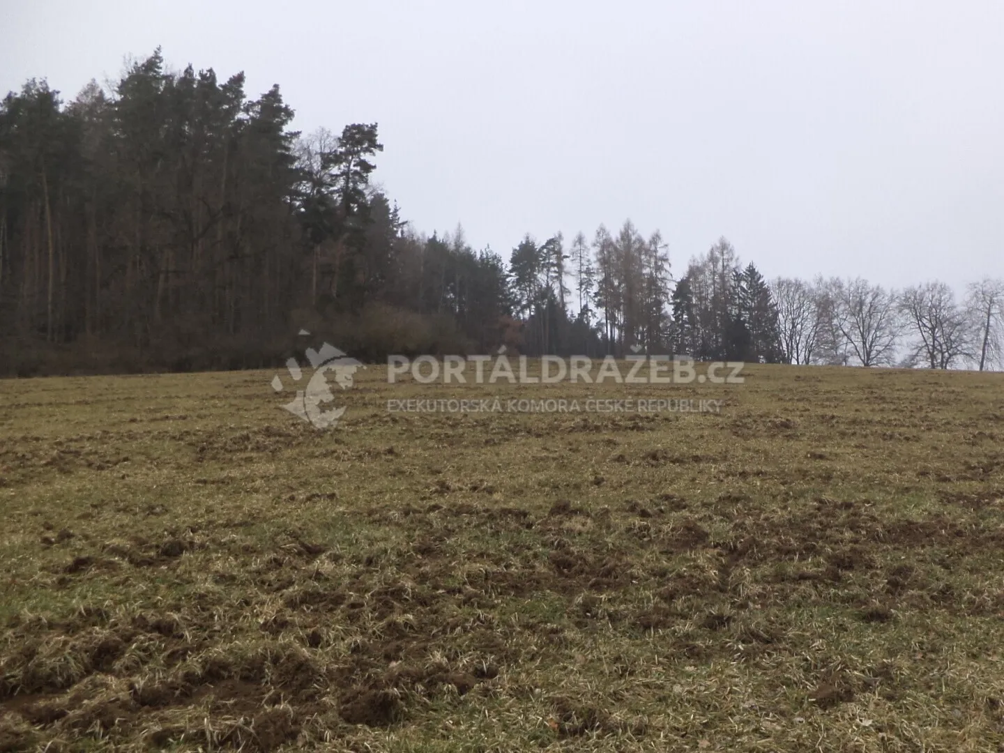 Pozemek o velikosti 9983m2, Bořkovice