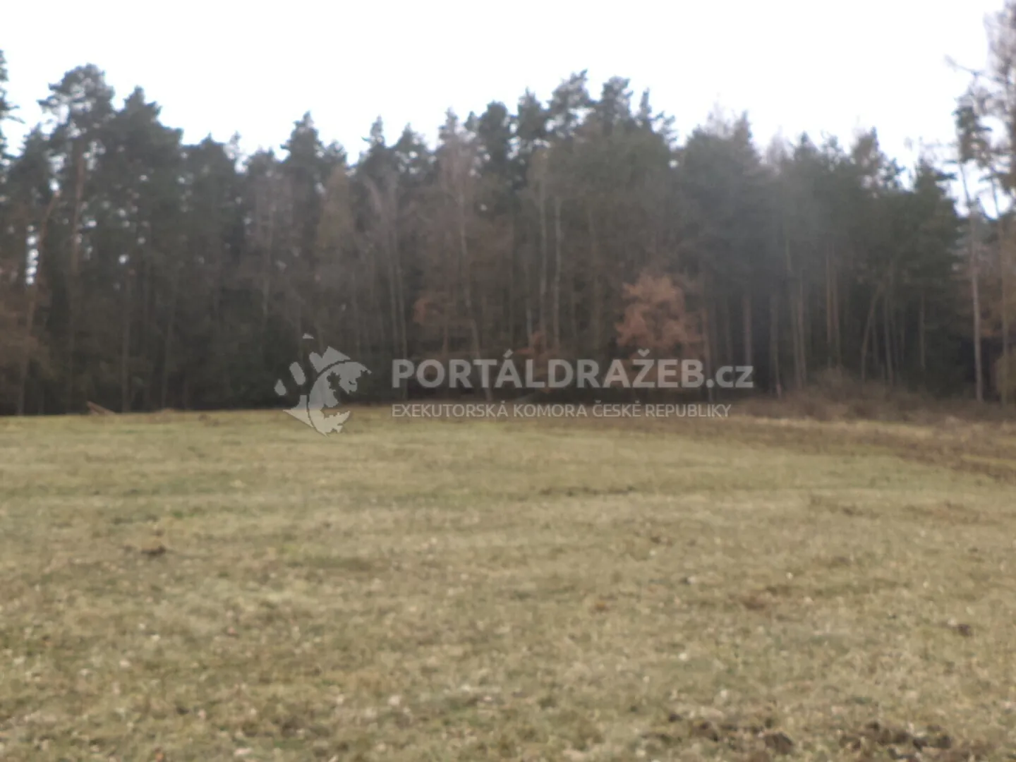 Pozemek o velikosti 9983m2, Bořkovice