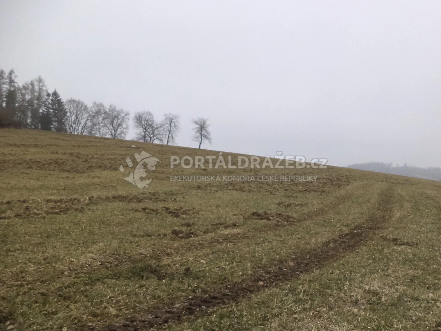 Pozemek o velikosti 9983m2, Bořkovice
