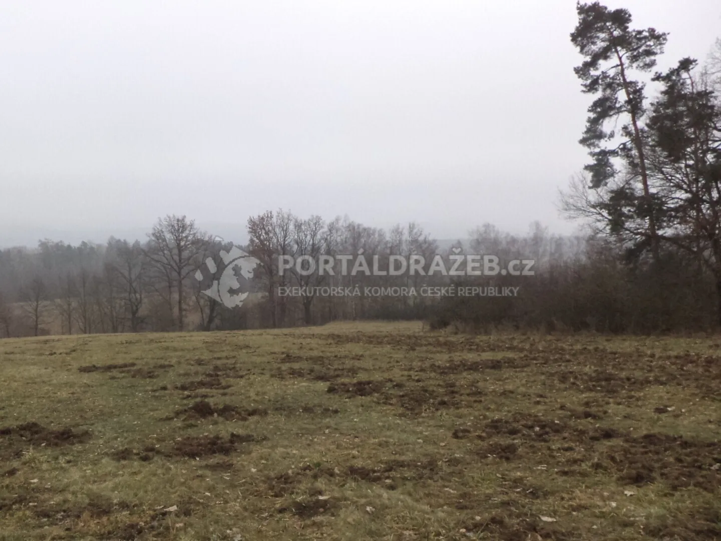 Pozemek o velikosti 9983m2, Bořkovice
