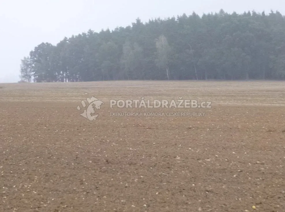 pozemky - orná půda, k.ú. Sedlečko u Chotovin - podíl 1/4