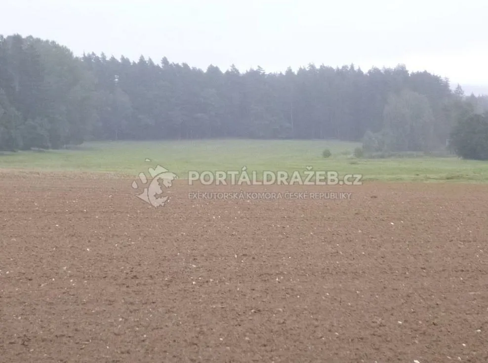 pozemky - orná půda, k.ú. Sedlečko u Chotovin - podíl 1/4