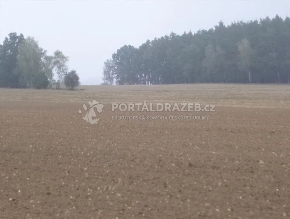 pozemky - orná půda, k.ú. Sedlečko u Chotovin - podíl 1/4