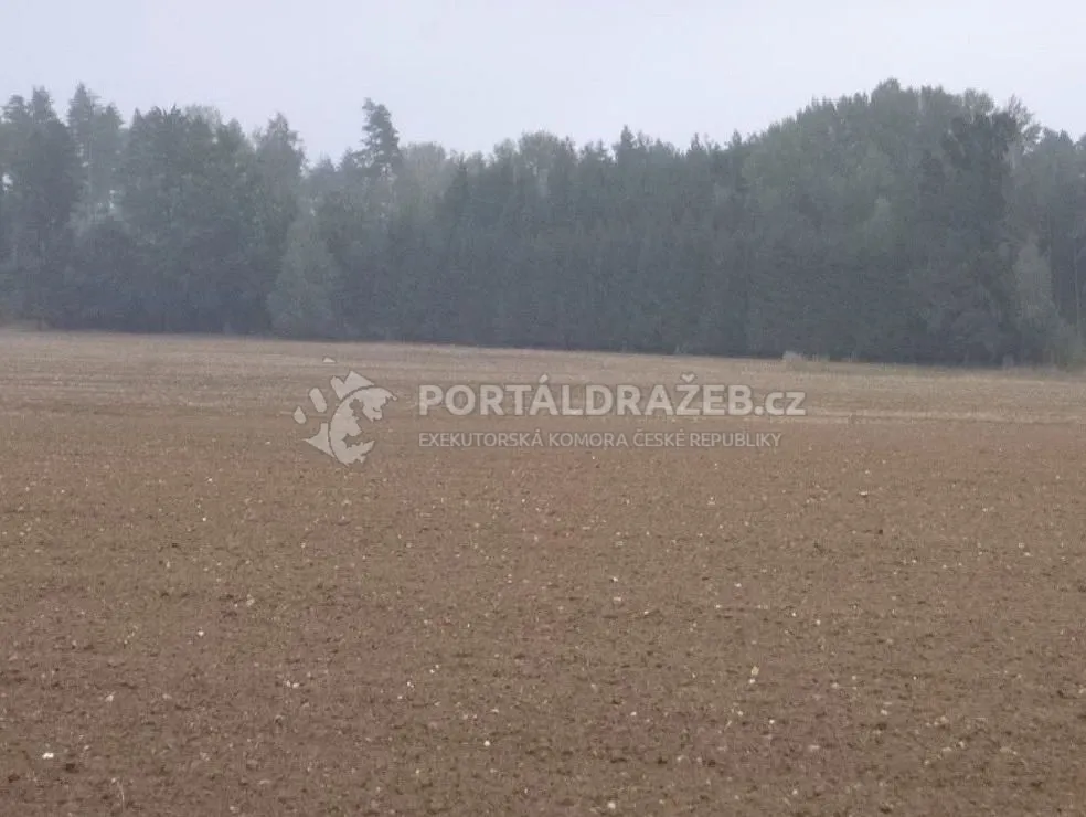 pozemky - orná půda, k.ú. Sedlečko u Chotovin - podíl 1/4