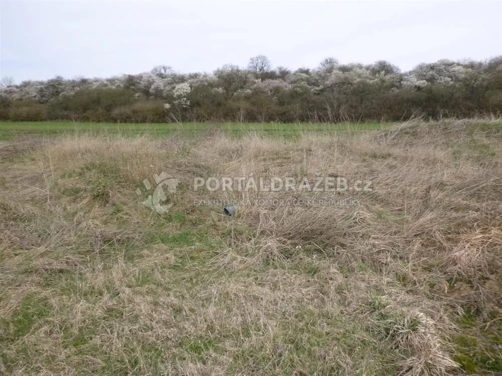 soubor pozemků, k.ú. Hoštice u Vodochod