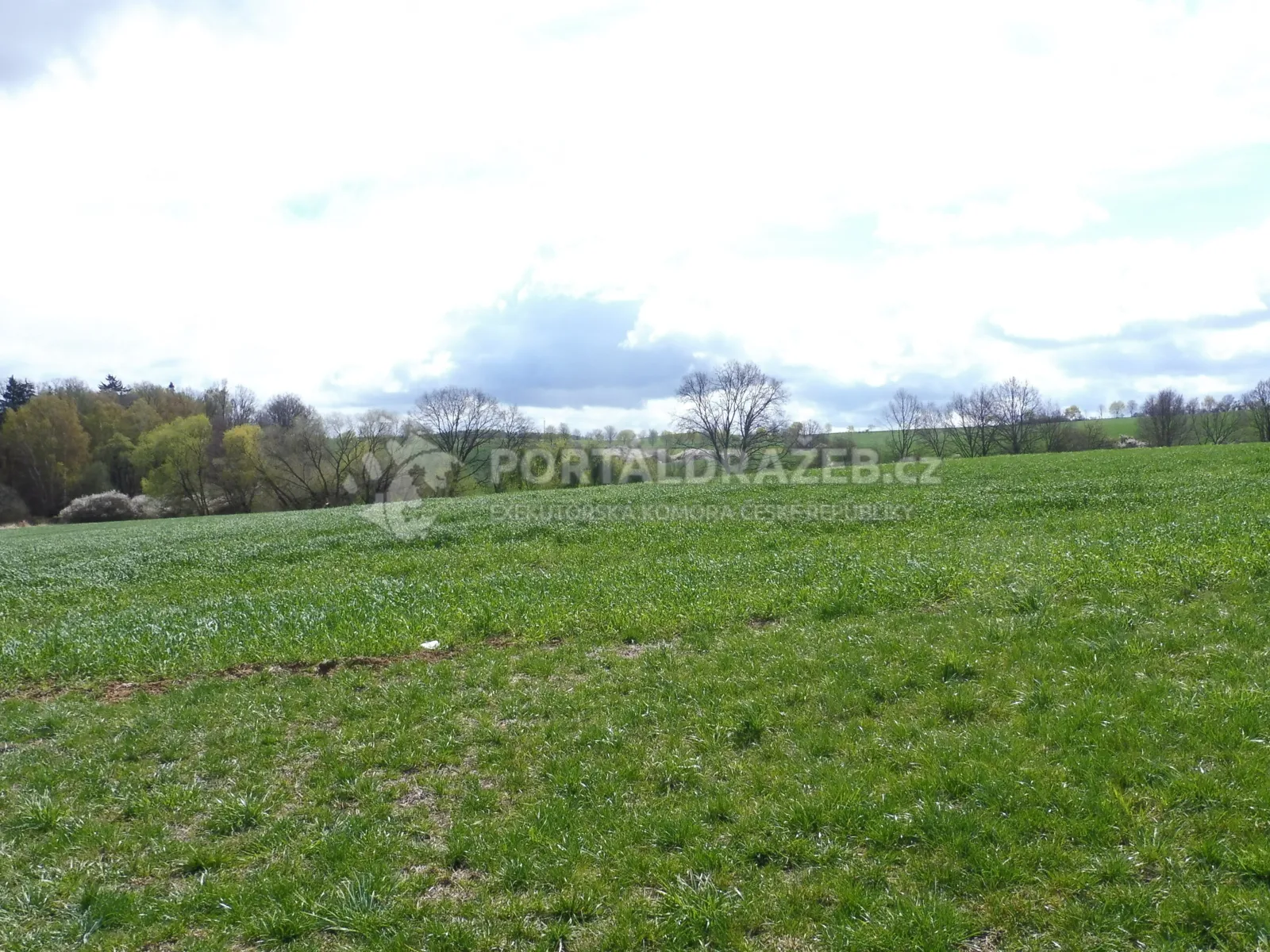 Pozemek 15 282 m2, obec Chotýšany