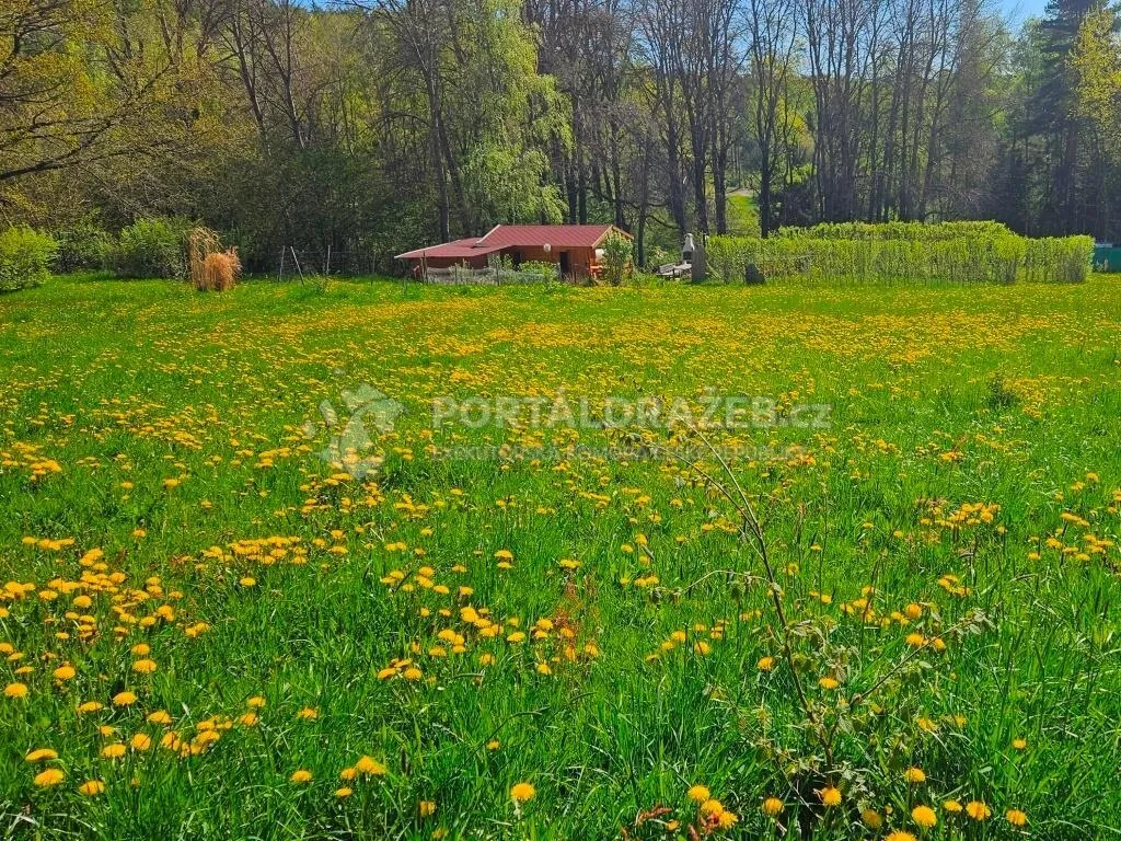 Stavební pozemek o velikosti 4505m2, Omlenice