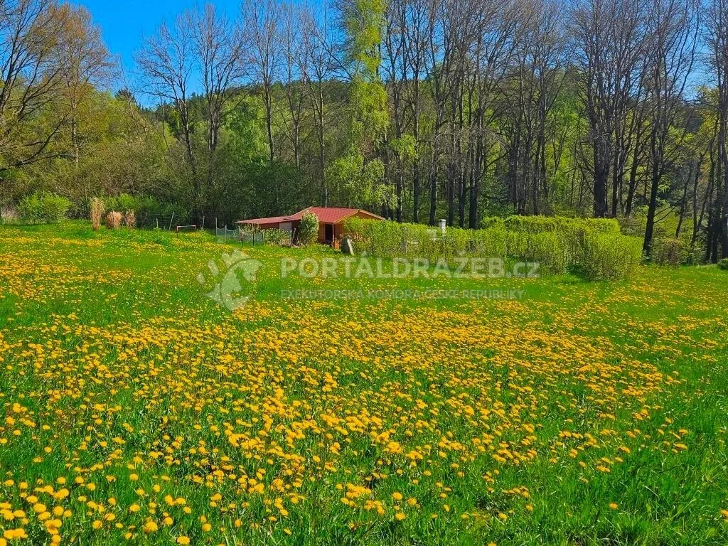 Stavební pozemek o velikosti 4505m2, Omlenice