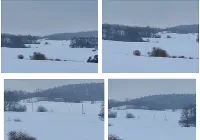 Žemės sklypas 1/2 dalis, 234,27 a. (2,34 ha.) Vilkaviškio r. sav. Vaidotų k.