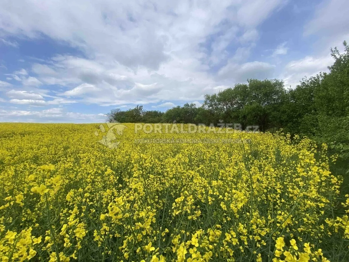 Pozemek o velikosti 1750m2, Řendějov