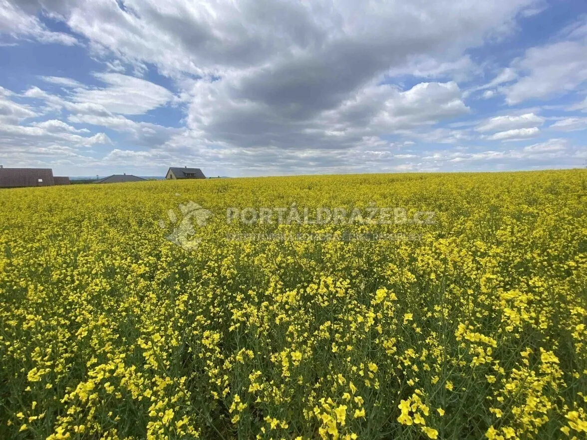 Pozemek o velikosti 1750m2, Řendějov