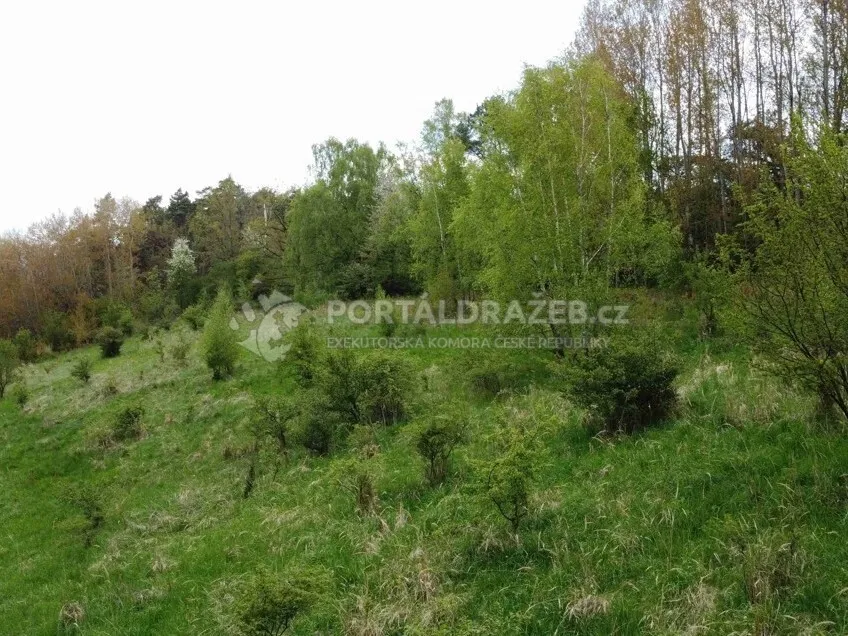 Pozemek o velikosti 16180m2, Křenov