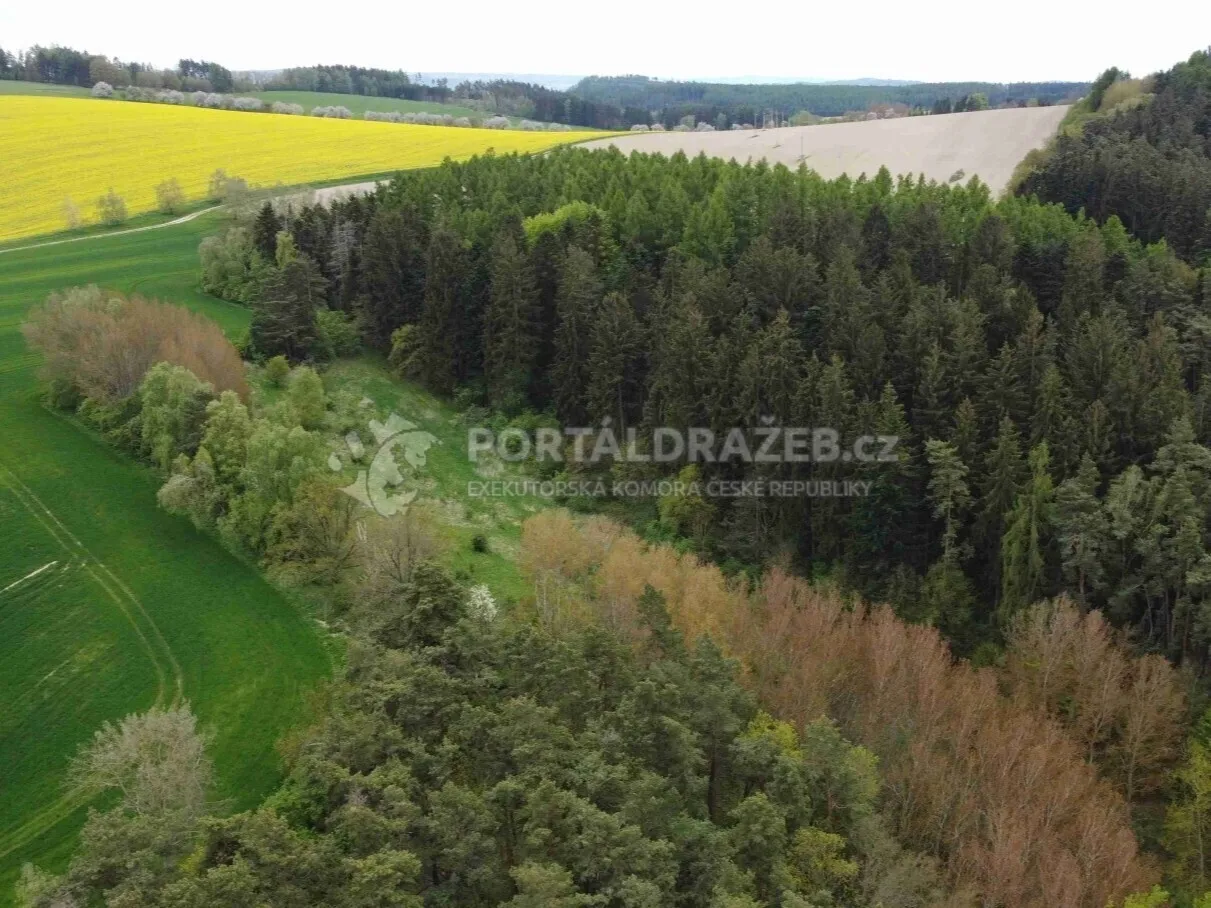 Pozemek o velikosti 16180m2, Křenov